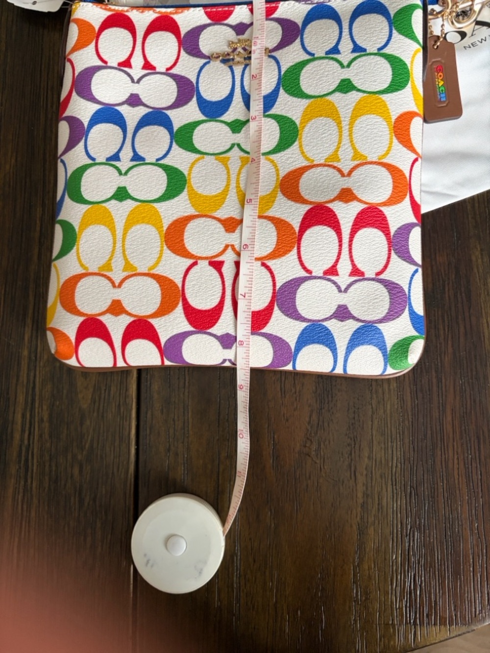 Coach Jes Rainbow 🌈 Collecton - Picture 15 of 15